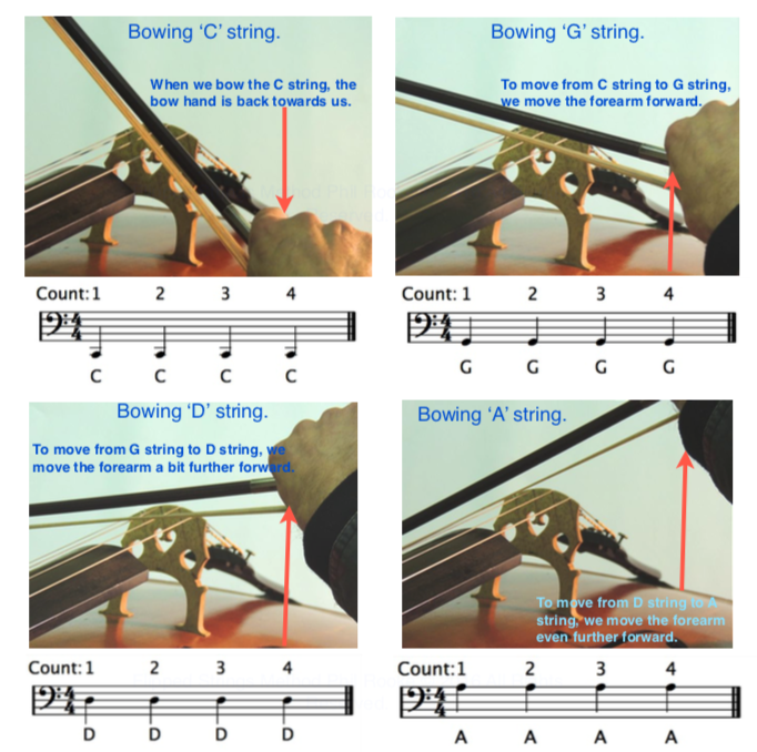 Basic Music Theory – Cello – Flipped Music Learning